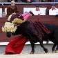 Julio Aparicio sendo atingido no Monumental de Las Ventas, em Madrid
