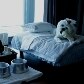 Cães e gatos têm até reveillon vip em hotel