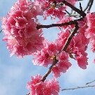 Okinawa