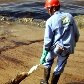 Vazamento de óleo atingiu as praias de São Sebastião