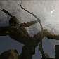 Eclipse no Oriente Eclipse no Oriente