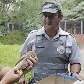 Animais são ameaçados por avanço de condomínios no interior de SP