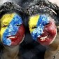Torcedoras da Venezuela pintaram o rosto para apoiar o time, que buscou empate heróico com  Paraguai