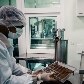 Fazendas de cacau e produtores de Ilhéus fazem chocolate de marca própria