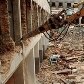 Carandiru foi palco do maior massacre de presos do Brasil Carandiru foi palco do maior massacre de presos do Brasil
