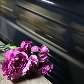 Trem passa por flores deixadas em memória das 37 vítimas pela explosão de bombas no metrô de Moscou Trem passa por flores deixadas em memória das 37 vítimas pela explosão de bombas no metrô de Moscou