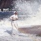 Ressaca tem ondas de até 2,5m e mar invade avenida do Rio 