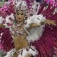 Os melhores momentos da primeira noite de carnaval no Rio de Janeiro
