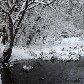 Internautas enviam fotos do frio da Europa