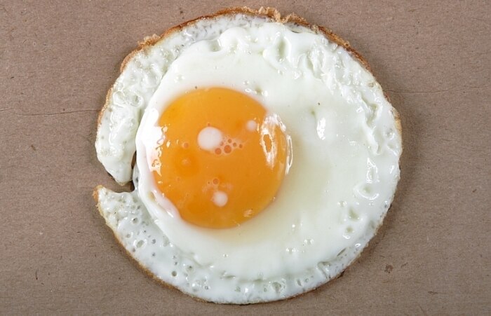 Os diferentes sabores dos ovos e dos frangos