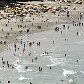 SP: praias lotadas no feriado de 7 de setembro SP: praias lotadas no feriado de 7 de setembro