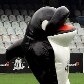 Santos comemora aniversário de 100 anos com partida entre veteranos Santos comemora aniversário de 100 anos com partida entre veteranos