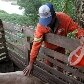 Frutas e legumes às margens do Rio Tietê
