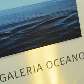 Tuca Reinés comemora a abertura da Galeria Oceano com degustação de whisky Tuca Reinés comemora a abertura da Galeria Oceano com degustação de whisky
