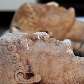 Foram encontradas duas figuras masculinas gregas em mãos de contrabandistas em Atenas, Grécia