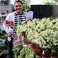 Feira de flores da Ceagesp reúne opções e preço baixo