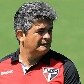 Os desafios dos técnicos brasileiros para o ano de 2013 Os desafios dos técnicos brasileiros para o ano de 2013
