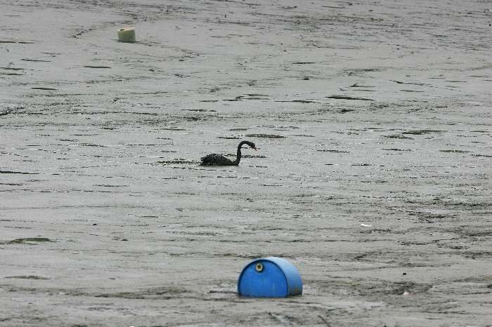 Sujeira ficou mais evidente após chuva forte e o rompimento do vertedouro do lago