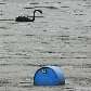Sujeira ficou mais evidente após chuva forte e o rompimento do vertedouro do lago