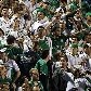 Ronny entra no segundo tempo e garante a vitória do Palmeiras sobre o Avaí