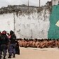 Transferência de presos da cadeia pública em Manaus terminou em confronto.06/11/2011