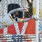 Botafogo bate o Flu, conquista Taça Rio e é campeão Carioca 2013 Botafogo bate o Flu, conquista Taça Rio e é campeão Carioca 2013