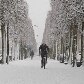 Mesmo com as baixas temperaturas, ciclista anda pelo parque de Versailles, na França