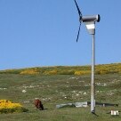 Ilhas Malvinas: 30 anos depois da Guerra Internacional - A energia eólica é amplamente explorada para produzir eletricidade nas Malvinas - Foto: Solly Boussidan/AE