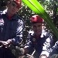 Jiboia é capturada ao tentar comer gato em Minas Gerais Jiboia é capturada ao tentar comer gato em Minas Gerais