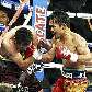 Pacquiao bate em De La Hoya, que tenta se proteger
