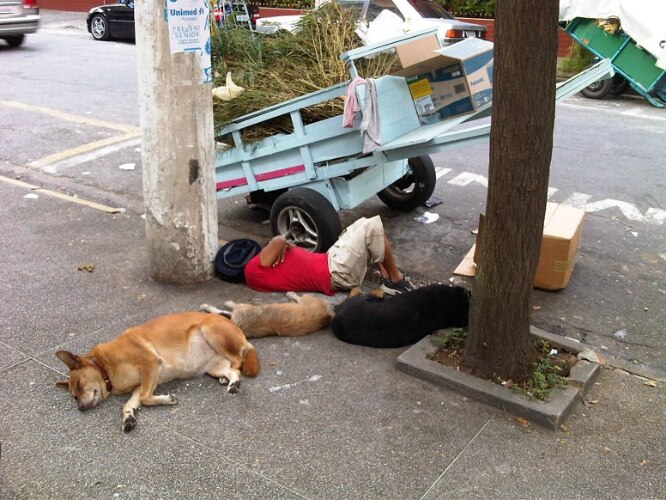Catador de lixo e seus cães dormindo na calçada, na Vila Nova Conceição, em São Paulo.11/05/2011