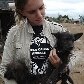 ONG recolhe 100 animais deixados para trás em Pinheirinho ONG recolhe 100 animais deixados para trás em Pinheirinho