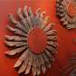 Mostra Mostra
