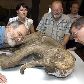 Cientistas examinam carcaça de bebê mamute que pode ter 10 mil anos