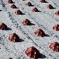 Montanha de 4000 metros era considerada um árduo projeto para 1811 Montanha de 4000 metros era considerada um árduo projeto para 1811