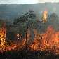 Incêndio no Parque Nacional da Chapada Diamantina, na Bahia.