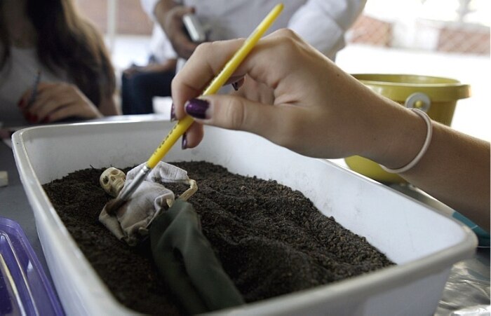 Arqueologia para crianças e jovens