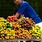 Conheça como funciona o imenso mercado a céu aberto de Belém 