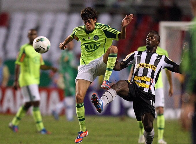 Com bela atuação de Barcos, Palmeiras vence Botafogo por 2 a 1 e respira no Brasileirão
