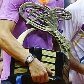 Nadal bate Nalbandian e fatura bicampeonato do Brasil Open Nadal bate Nalbandian e fatura bicampeonato do Brasil Open