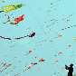 É a 2ª vez que as crianças se reúnem para quebrar recordes essa semana: foram 7 mil bolas quicando É a 2ª vez que as crianças se reúnem para quebrar recordes essa semana: foram 7 mil bolas quicando
