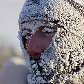 Homem cobre o rosto para se proteger do frio e da neve em Krasnoyarsk, na Rússia