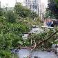 Tempestade nessa tarde de Domingo (14), na Vila Leopoldina  Zona Oeste de São Paulo. 14/03/2010