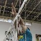 Seleções masculina e feminina de vôlei se preparam para a Liga Mundial