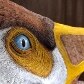 Cientistas apresentam o maior fóssil de pterossauro do Hemisfério Sul Cientistas apresentam o maior fóssil de pterossauro do Hemisfério Sul