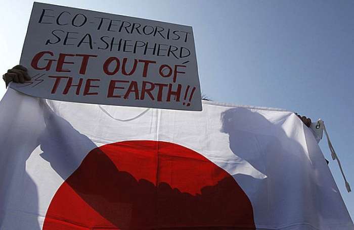 Japoneses fazem manifestação pró-caça a baleias após prisão de ativista ambiental