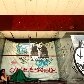 Belas Artes vira abrigo de mendigos