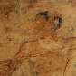 Pintura é descoberta em tumba de 4500 anos no Egito; a imagem relata as cenas de caça na antiguidade