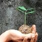 Fotos demonstram a visão de jovens sobre natureza e a poluição