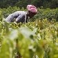 Economia verde será um dos temas debatidos durante a Rio+20